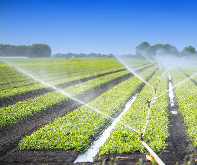 การป้องกันอัคคีภัยทางการเกษตร